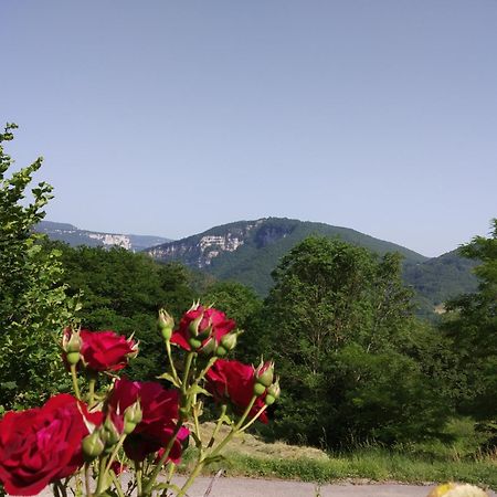 Au Chalet D'Anna Saint-Rambert-en-Bugey Eksteriør bilde