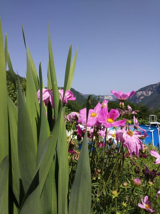 Au Chalet D'Anna Saint-Rambert-en-Bugey Eksteriør bilde